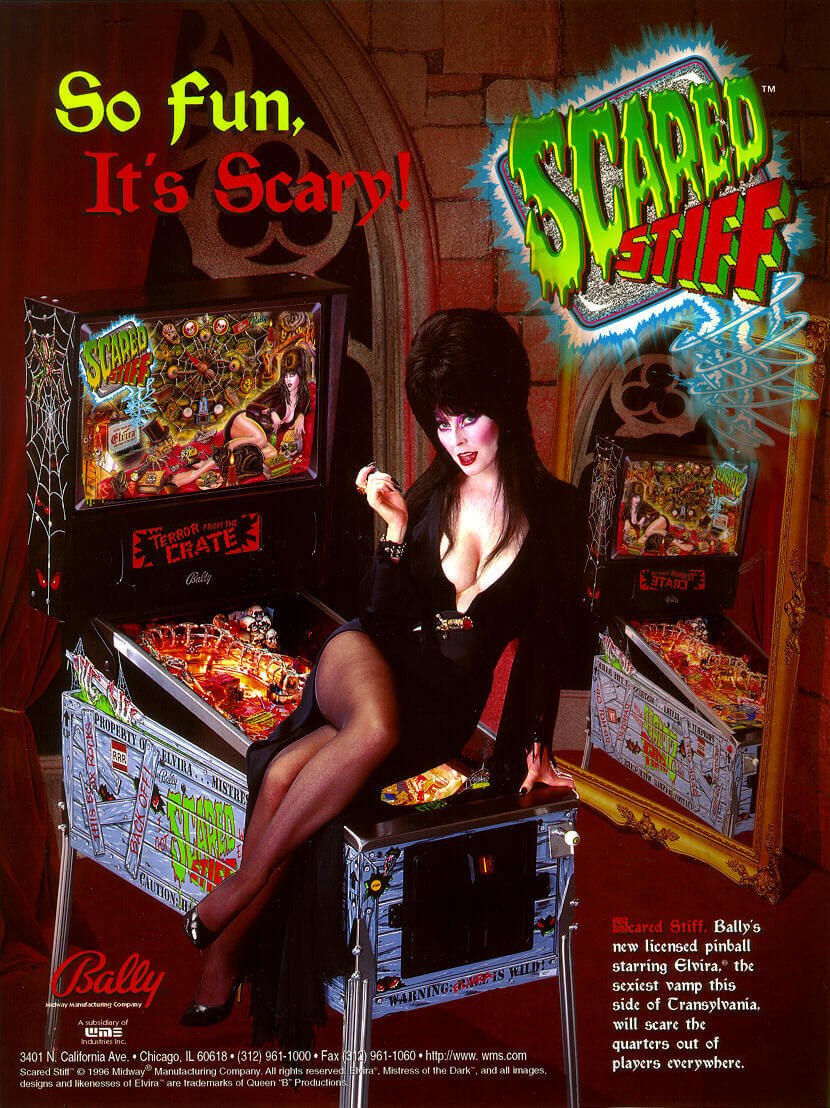 ssflyer1 Scared Stiff Pinball Machine by Bally - Image 3